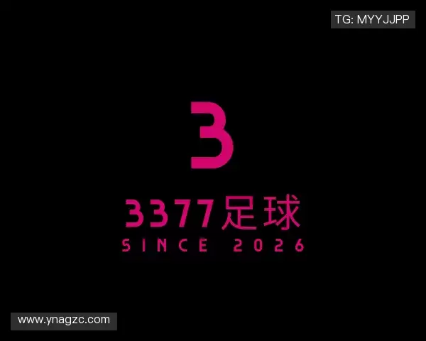 认识3377足球